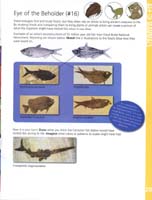 124-Junior_Ranger_Program-Junior_Paleontologist-21
