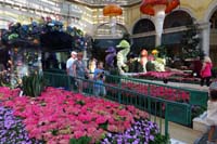 24-visiting_the_Summer_display_for_Bellagio_Conservatory