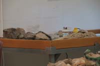 48-only_dinosaur_bones_found_in_Southern_NV,probably_largest_in_NV