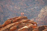 05-Sierra_and_Melanie_on_crest-Kenny_scrambling_to_join_them