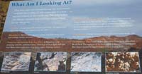 37-Interpretive_Sign-What_Am_I_Looking_At
