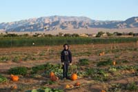 03-Kenny_is_having_lots_of_fun_searching_for_pumpkins