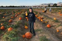 07-Kenny_found_the_right_pumpkins