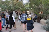 31-last_activity_for_day-Springs_Preserve_Halloween_fun