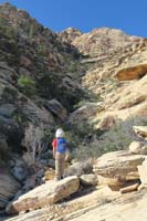 15-Kenny_looks_up_and_states_'Aww_we_have_to_climb_all_the_way_up_there,why_did_I_agree_to_this.'