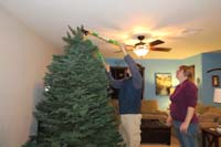 010-tree_is_too_tall,need_to_cut_off_the_top