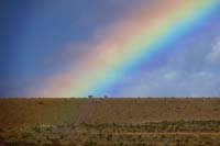 056-zoom_of_awesome_rainbow_behind_house-pot_of_gold_is_there_I_know_it