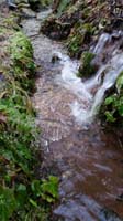 13-ice_on_a_fern_and_small_waterfall
