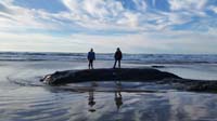 32-Zoe_and_Kenny_on_a_rock-back_to_same_beach