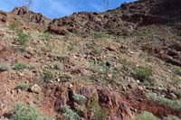 04-Kenny_leading_the_way_with_Sarah_following-heading_to_saddle_to_right_of_left_power_tower