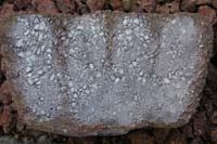 10-picture_of_rock-before_applying_liquids