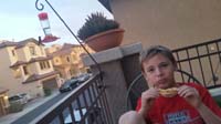 11-Kenny_eating_dinner_on_front_balcaney_with_hummingbird_at_feeder