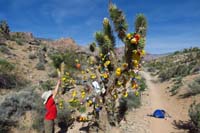 11-Kenny_putting_his_old_ducky_bath_toy_on_the_tree-he_put_his_name_on_it
