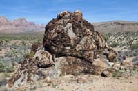 20-interesting_fossil_material_on_limestone_rock