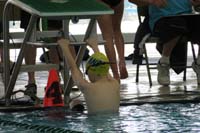 16-Kenny_in_position_for_100-meter_backstroke