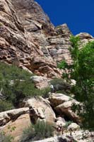 18-kids_scrambled_around_the_rocks-Kenny_went_as_high_as_he_could