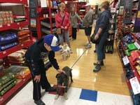 83-taking_the_dog_for_a_walk-Mommy_really_liked_he_didn't_tug_on_the_leash_and_stayed_by_her
