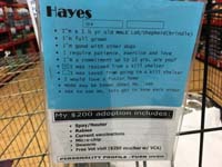 84-name_is_listed_as_Hayes,but_actually_Haydes-we_renamed_his_as_Rainier_after_the_mountain