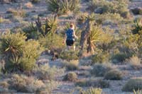 089-Mommy_taking_Rainer_for_a_walk_in_the_desert_behind_our_house