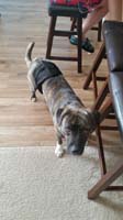 093-poor_Rainer_wearing_his_'diaper'