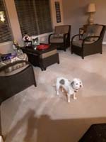 48-stopover_at_Grammy_and_Grandpa_Duke's_house-Brinkley-Kenny's_photo
