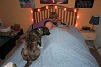 53-time_for_bed_at_945pm-big_day,he_is_very_tired-even_Rainier_joins_in_to_say_good_night