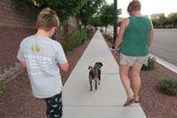 55-Rainier_really_likes_his_walks
