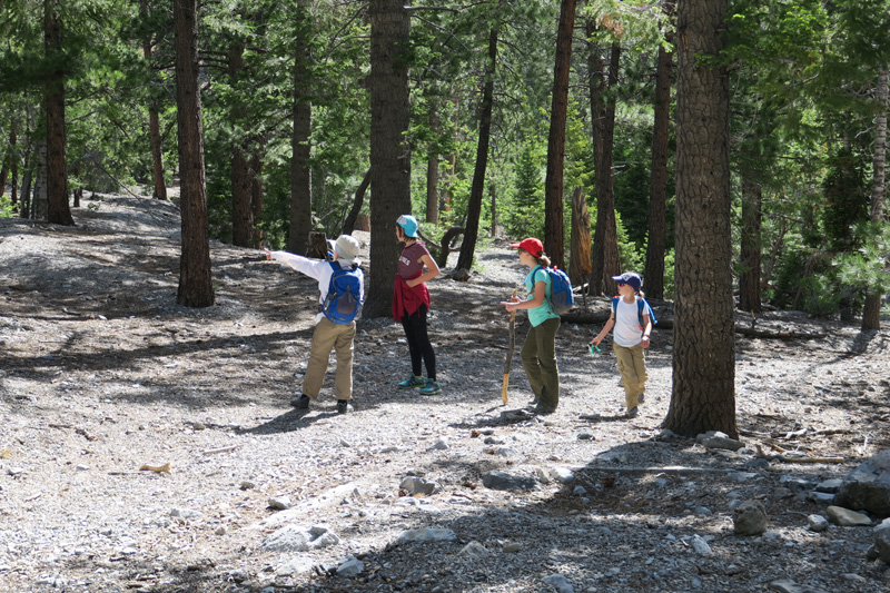 02-kids_checking_things_out_on_the_trail