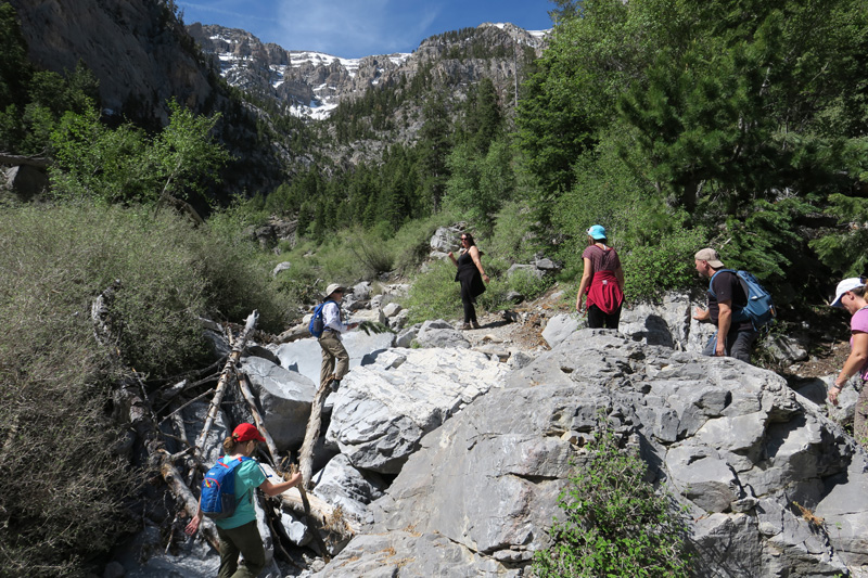 05-scrambling_up_the_avalanche_field