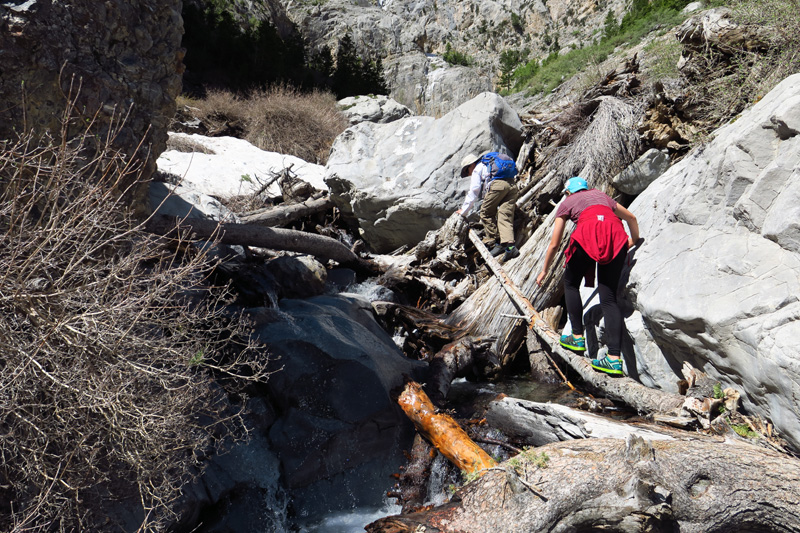 10-Kenny_and_Stella_scrambling_up_the_log