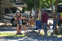 12-tourists_in_campground_touching_wild_deer-not_good_idea