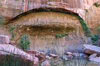 04-one_of_many_weeping_walls_along_Riverside_Walk_Trail
