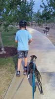 40-taking_the_dog_for_a_walk-Kenny_rides_his_scooter