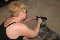 43-Mommy_brushing_Rainier's_teeth-he_is_really_good_getting_it_done