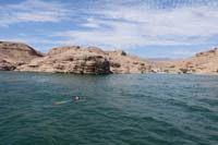 14-he_is_even_brave_heading_out_a_bit_further_into_the_open_water