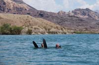 36-Daddy_tries_his_luck-been_years_trying_to_waterski