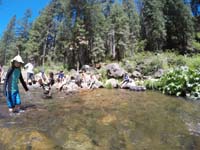 07-Mommy_and_Rainier_hanging_around_the_edge_of_the_water-Kenny_hesitant_since_cold