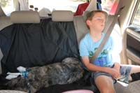 33-lightweights-both_crashed_and_sound_asleep_within_minutes_of_driving