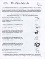 75-Junior_Ranger_Program-Lava_Beds_NM06