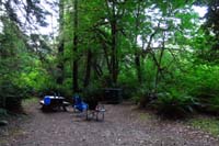 003-nice_campsite_up_against_the_forest