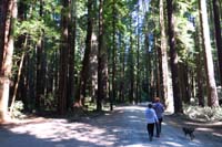 011-family_taking_a_walk_down_Walker_Rd-one_of_few_hours_to_take_a_dog