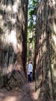 012-Kenny_admiring_tall_trees