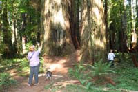 014-family_admiring_the_tall_trees