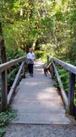 022-Kenny_likes_his_dog_and_walking_on_small_bridges