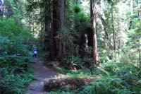 025-trail_junction-we_walked_more_than_we_thought_we_would-although_great_trail