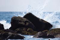 048-pretty_scenery_along_beach-Daddy_caught_a_wave_crashing_on_the_rocks
