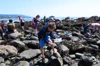 106-Kenny_looking_for_tide_pools_creatures_to_check_them_off_as_part_of_the_junior_ranger_program