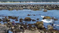 120-Daddy_stayed_behind_to_continue_looking_around_the_tide_pool-slipped_and_sliced_foot
