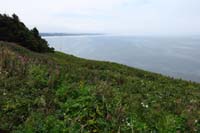 02-ocean_views_with_slopes_of_wildflowers
