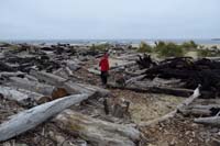 11-checking_out_beach_in_late_afternoon_after_day_at_Oregon_Dunes-Douglas_County_Parks_beach